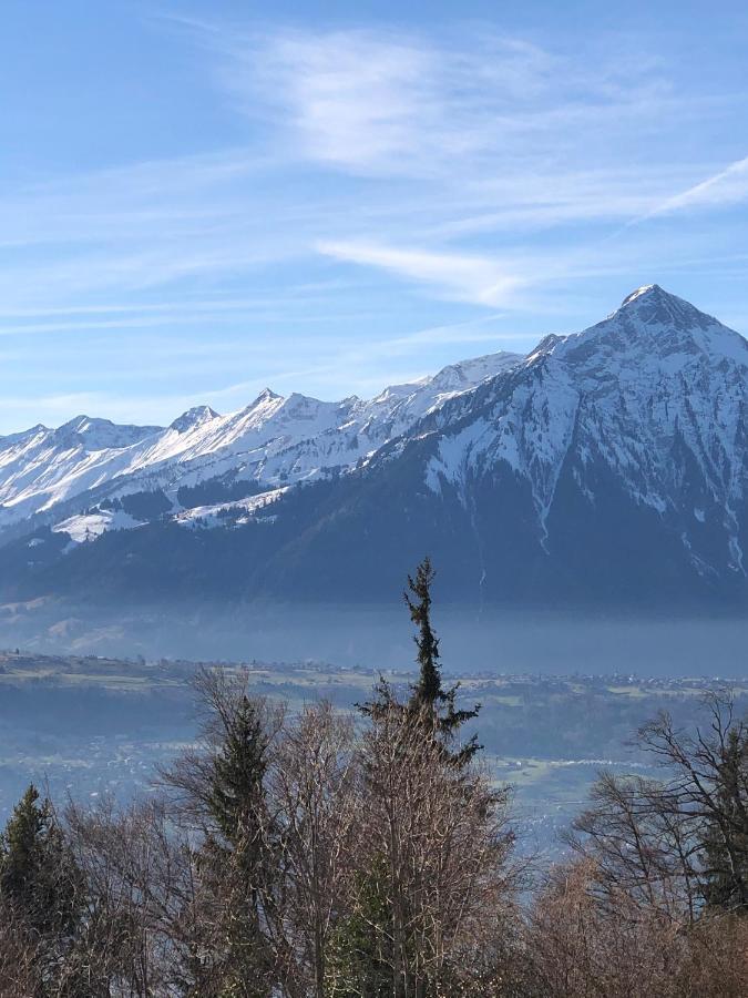 Wohnung Mit See Und Bergsicht Im Vier Sterne Hotel Beatenberg Esterno foto