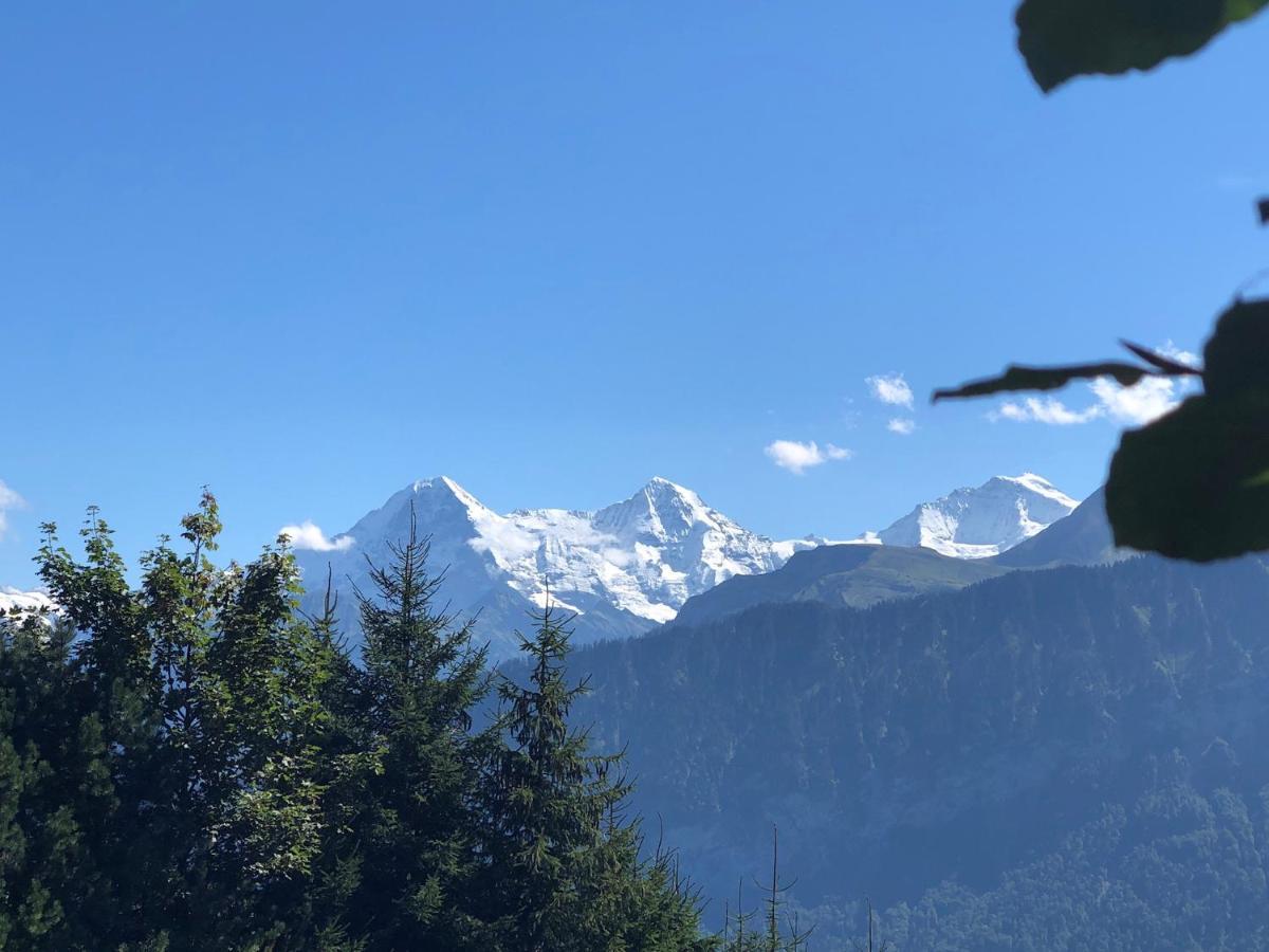 Wohnung Mit See Und Bergsicht Im Vier Sterne Hotel Beatenberg Esterno foto