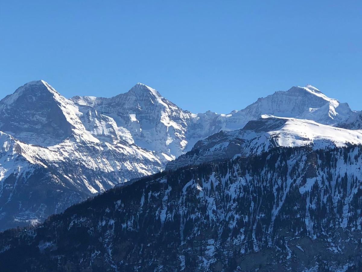 Wohnung Mit See Und Bergsicht Im Vier Sterne Hotel Beatenberg Esterno foto